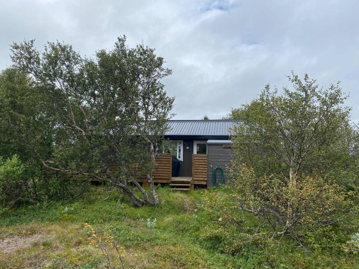 Cabin In The Lava. Near Husavik Skogar  Eksteriør billede